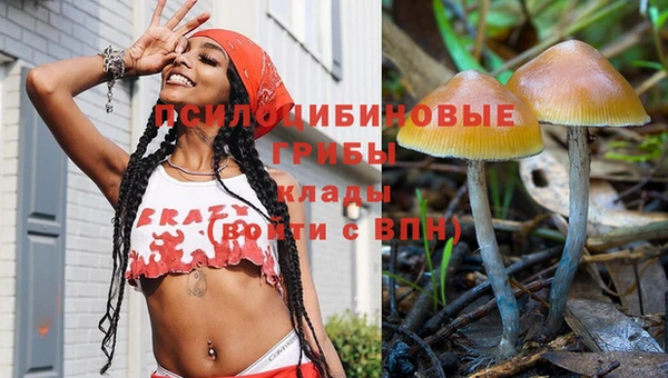 круглые Алзамай