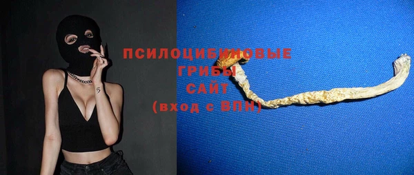 амф Алексин