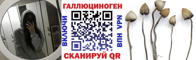Галлюциногенные грибы Cubensis закладки Алупка